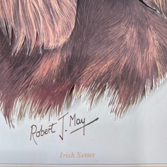 Irish Setter Dog 3D Print Signed By Artist Robert J. May Wooden Frame 9 X 11.5 - Picture 11 of 11